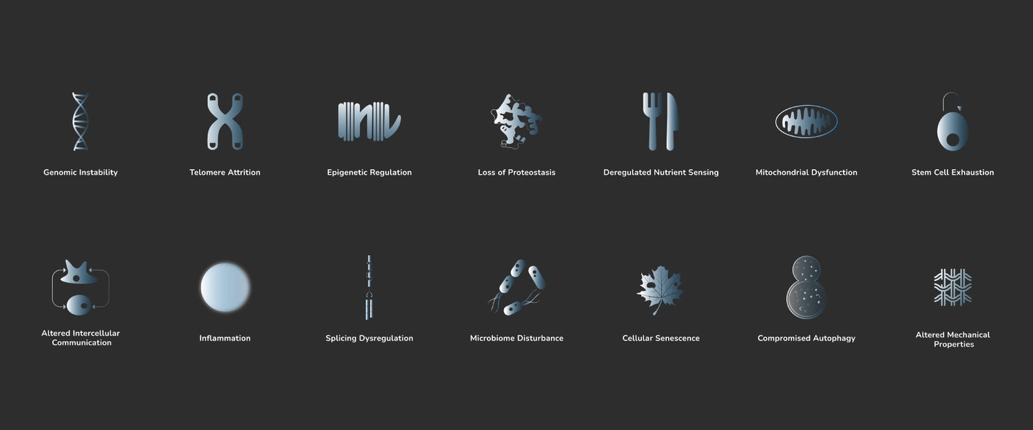 The Hallmarks of aging