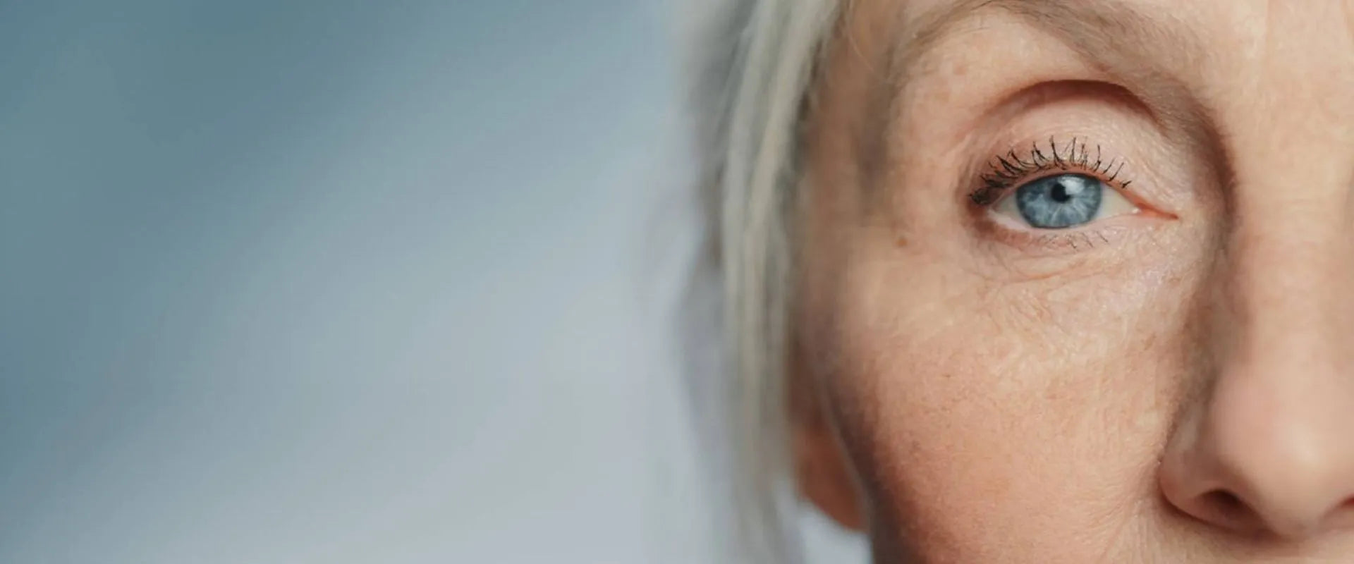 Ageing in Biological Terms