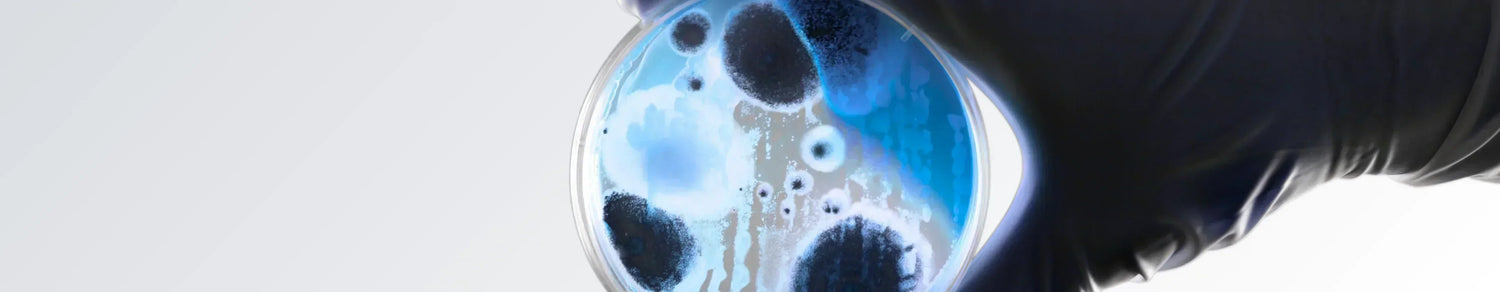 Best Microbiome Testing Kits: Decode Your Gut for Better Health