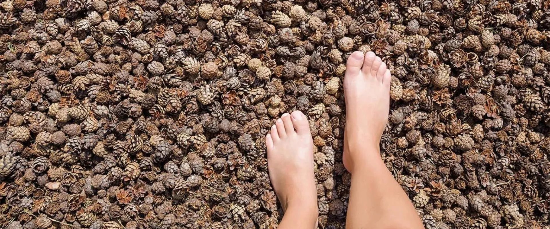 Grounding: A natural therapeutic technique you must know about.