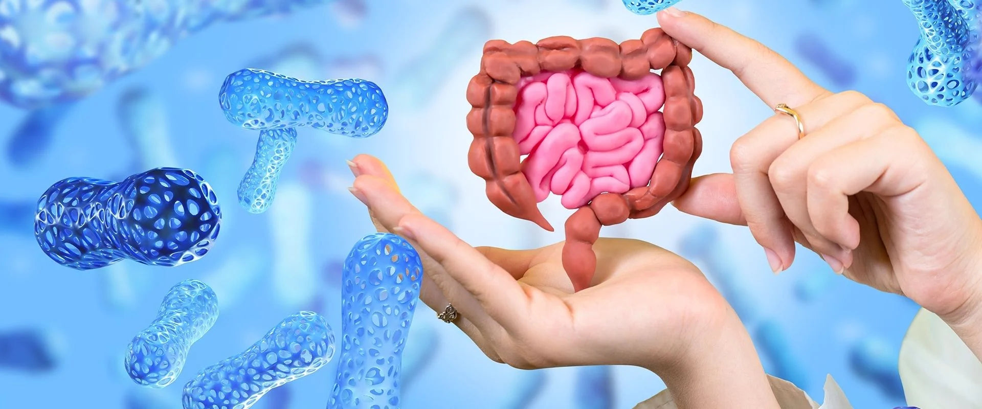 Keeping your bugs healthy with NMN, Ageing, gut microbiome, health, healthy, lifestyle