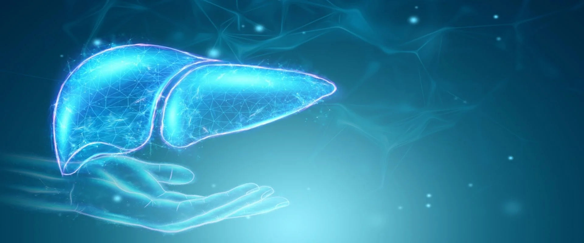 liver,health,ageing,reverse ageing, metabolism,longevity