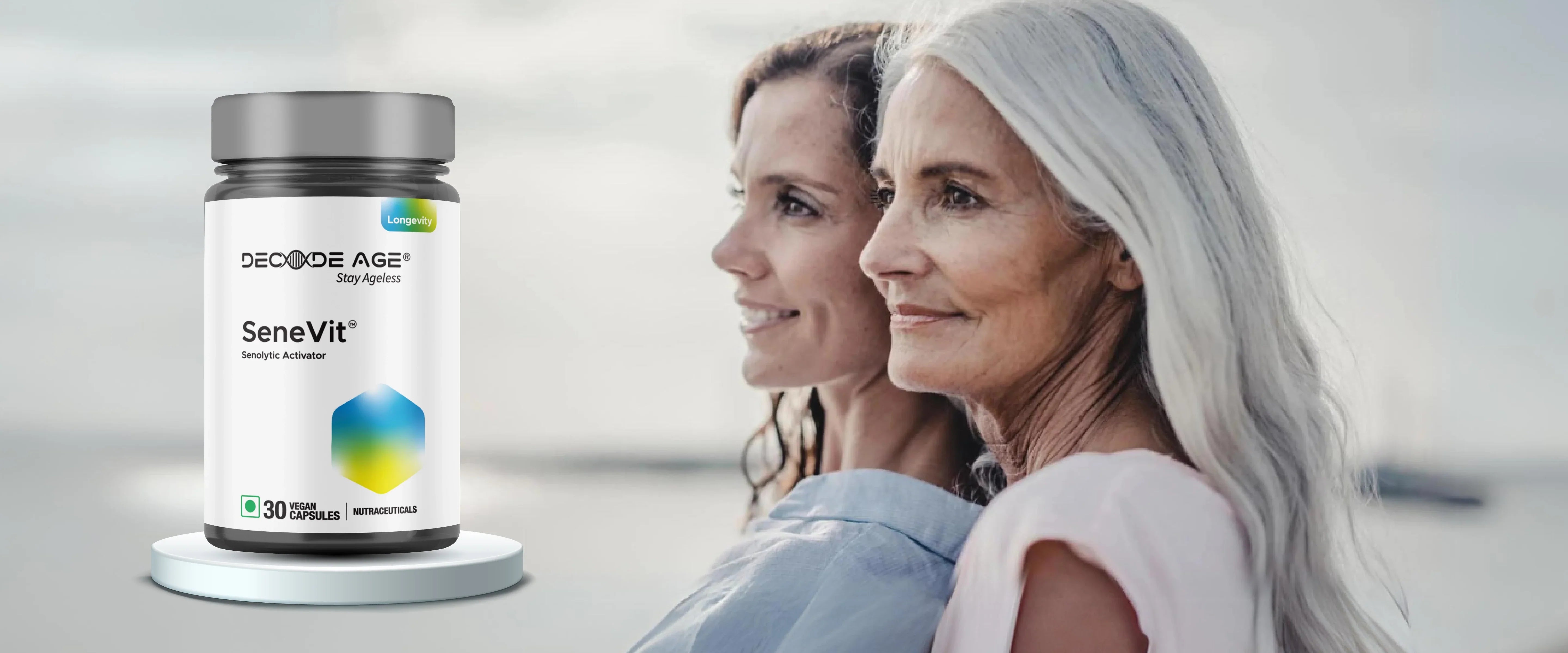 SeneVit: The Solution to Eliminating Senescent Cells