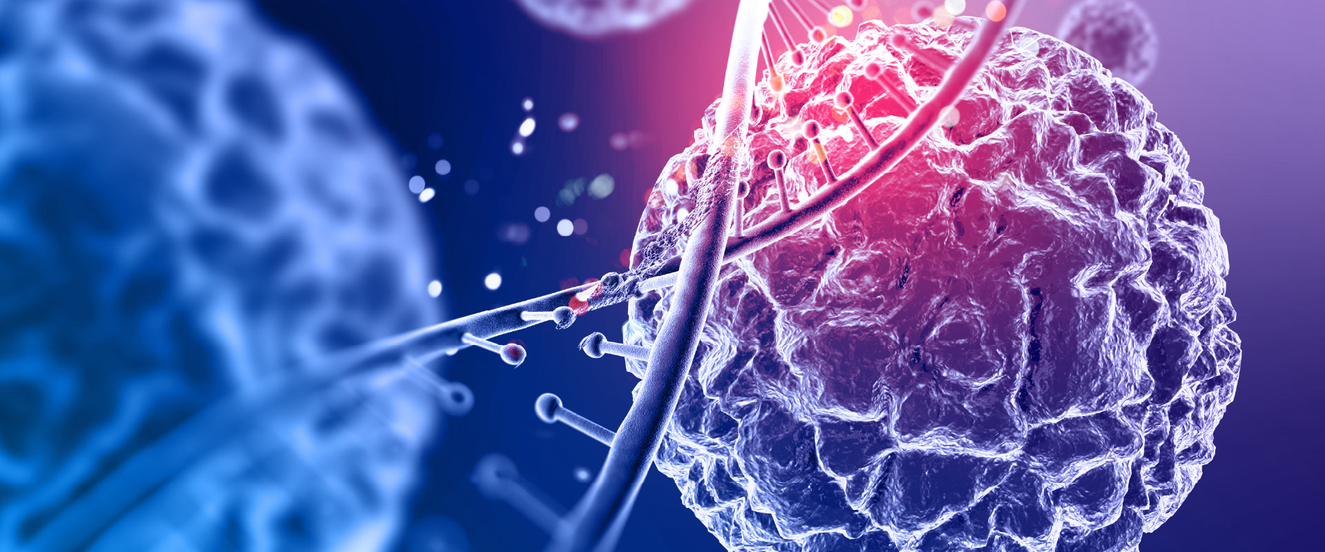 What is a Stem Cell Technology and How it Helps in Ageing?