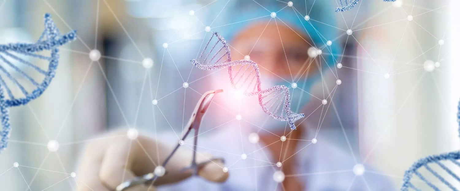 decodeage decode age senolytic healthy ageing longevity reverse ageing nmn nad+ booster gut microbiome biological age test senolytic