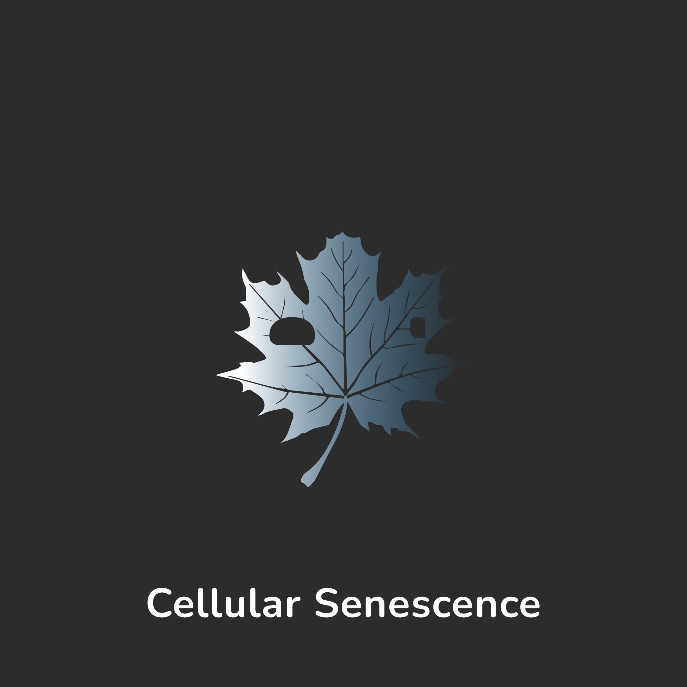 Aging Hallmark - Cellular Senescence