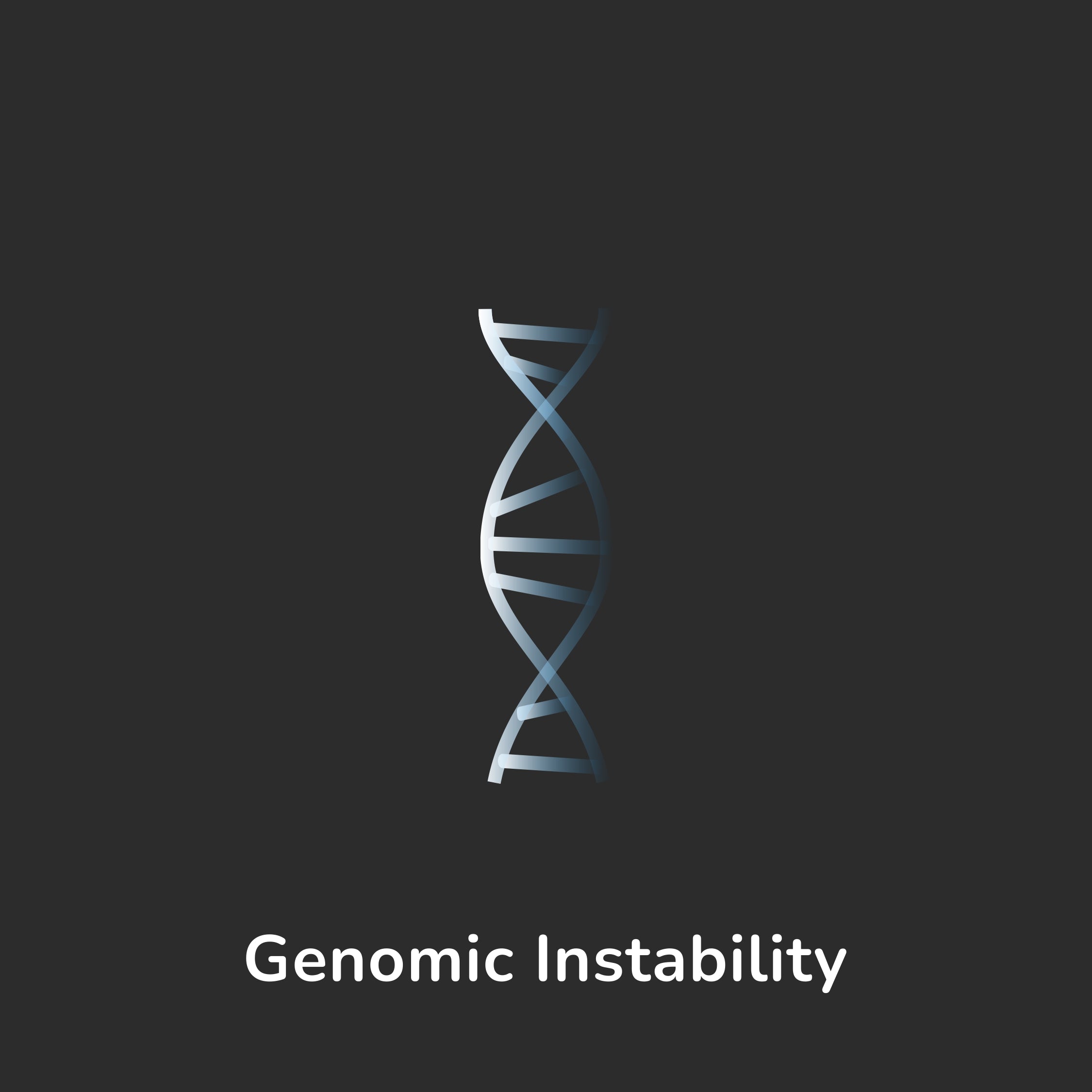 Aging Hallmark - Genomic Instability