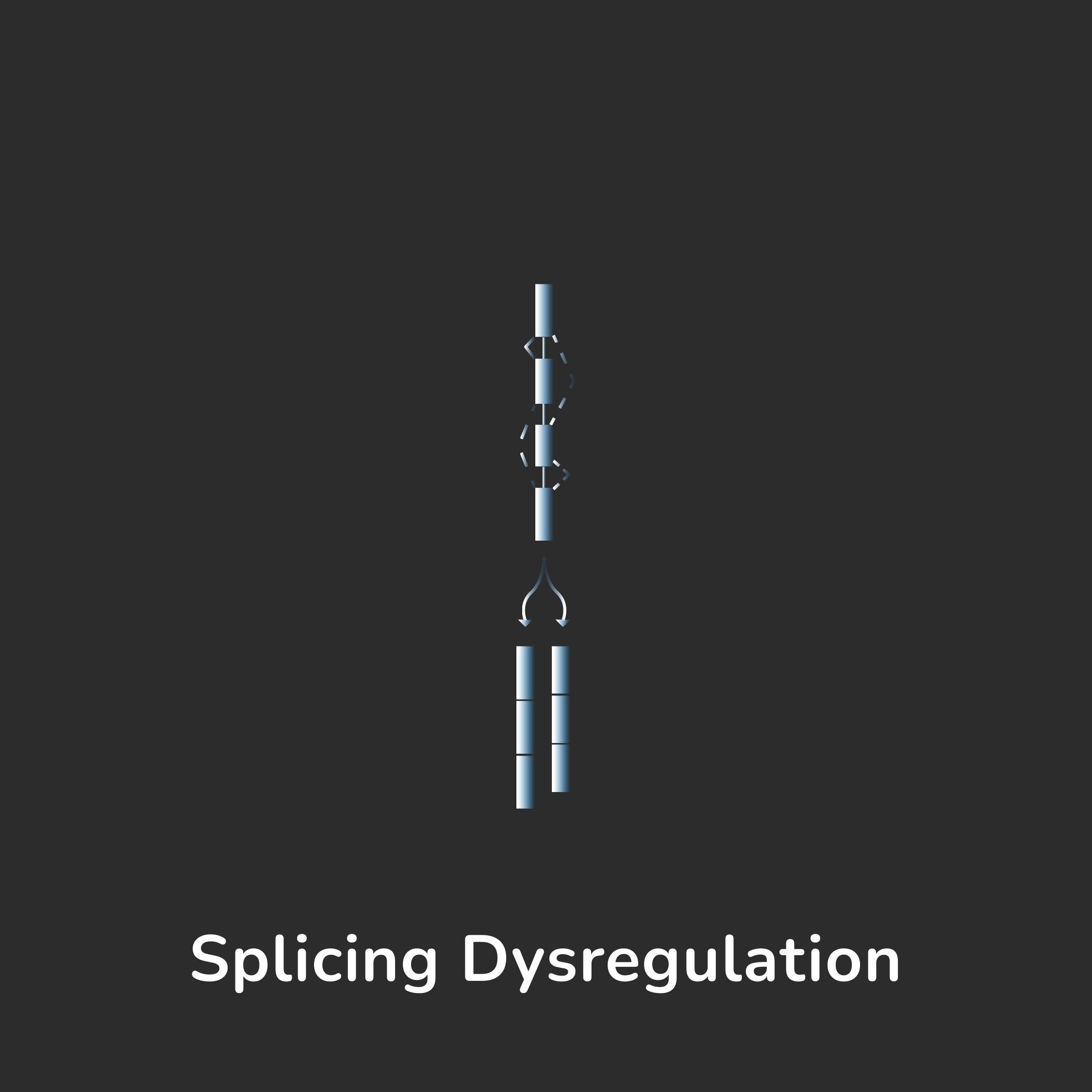 Aging Hallmark - Splicing Dysregulation