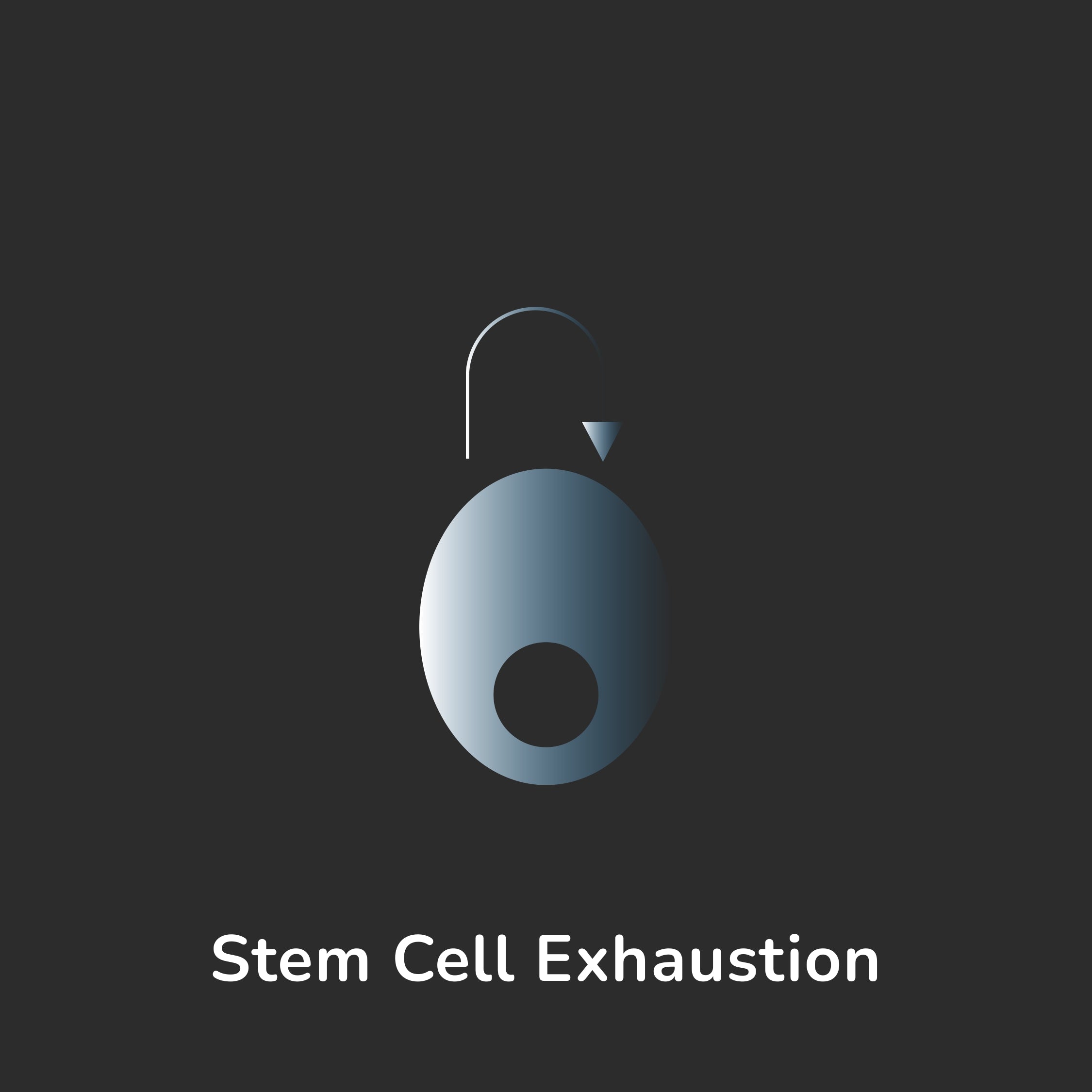 Aging Hallmark - Stem Cell Exhaustion
