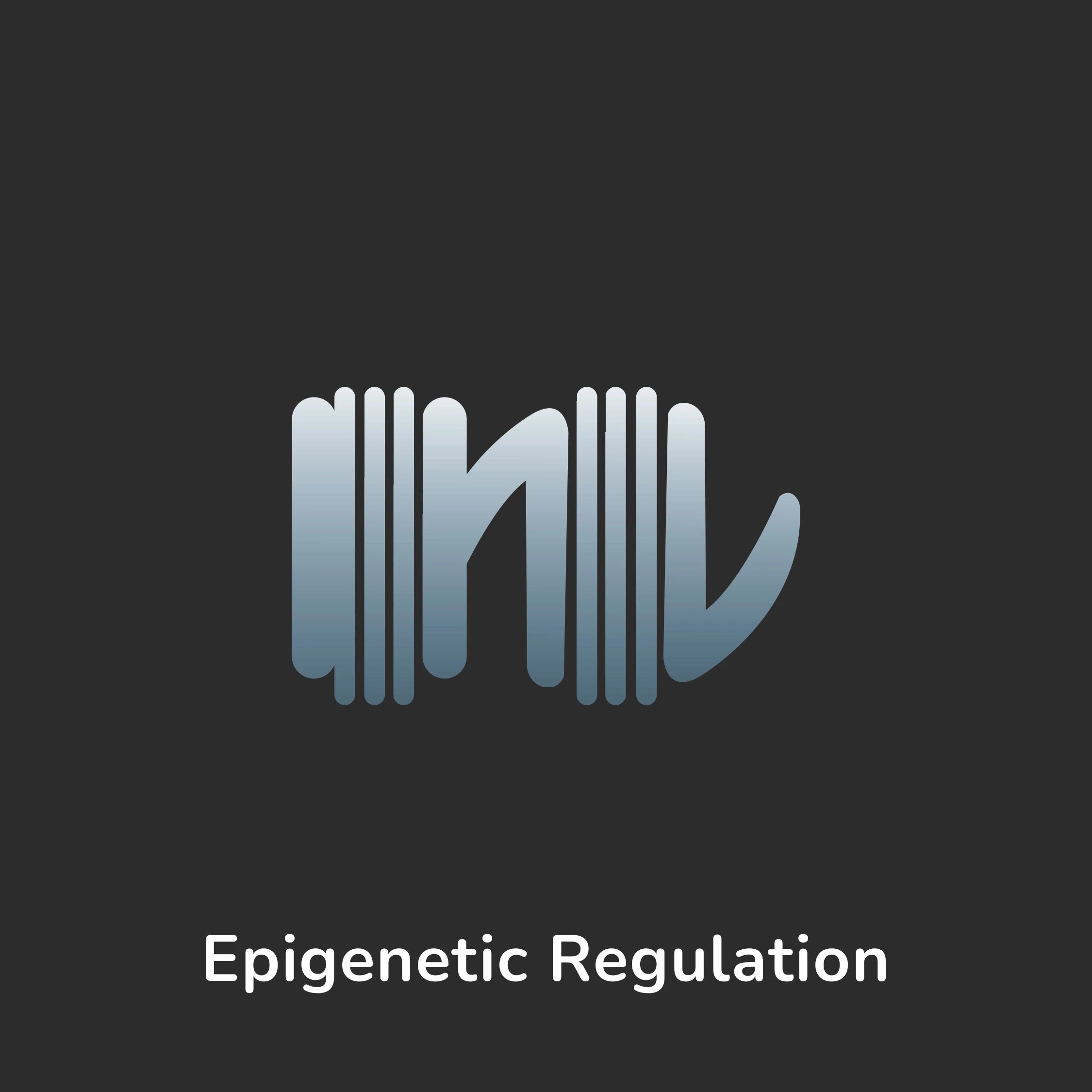 Aging Hallmar - Epigenetic Regulation