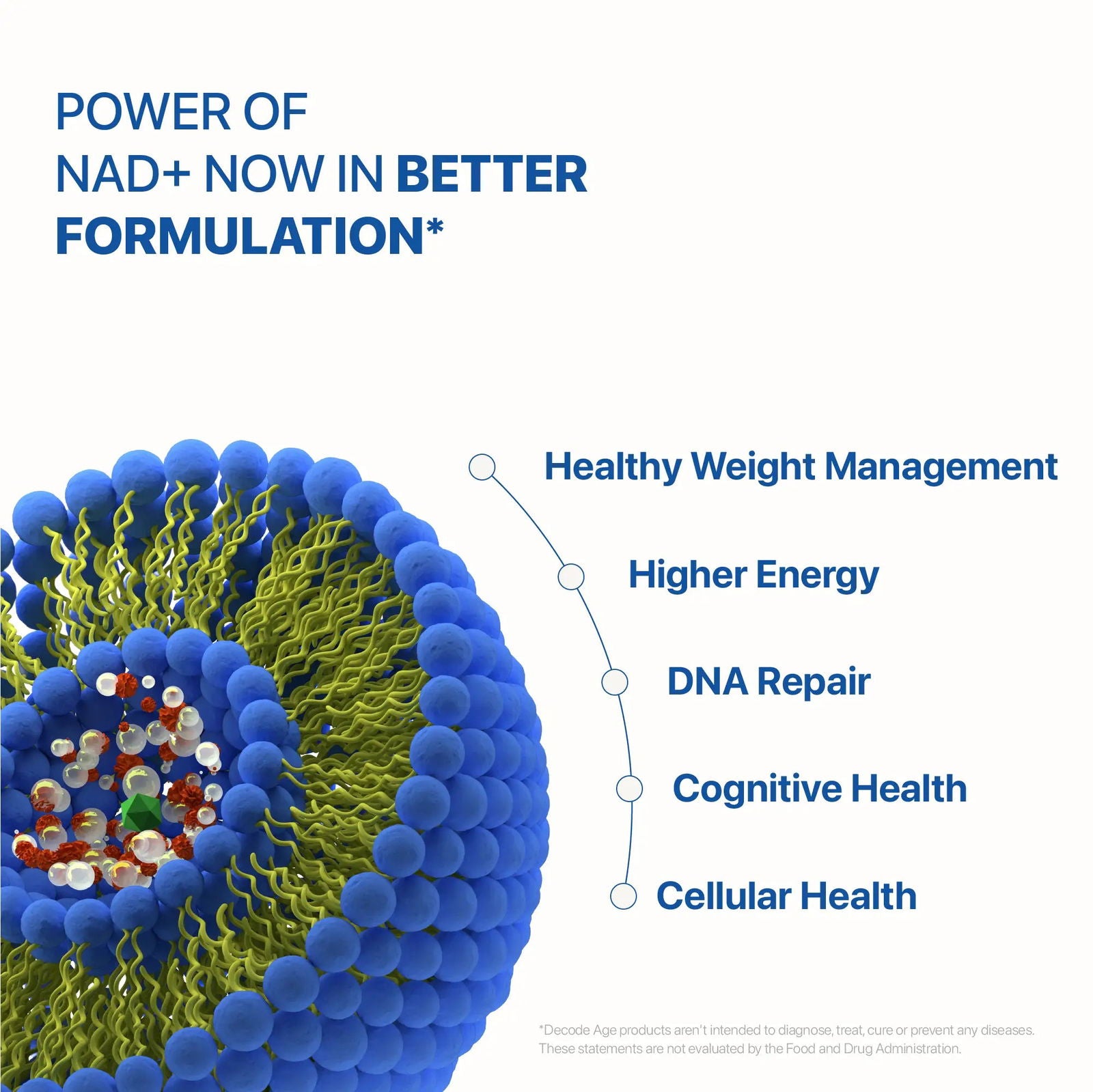 Liposomal NMN | Βeta Nicotinamide Mononucleotide - Decode Age