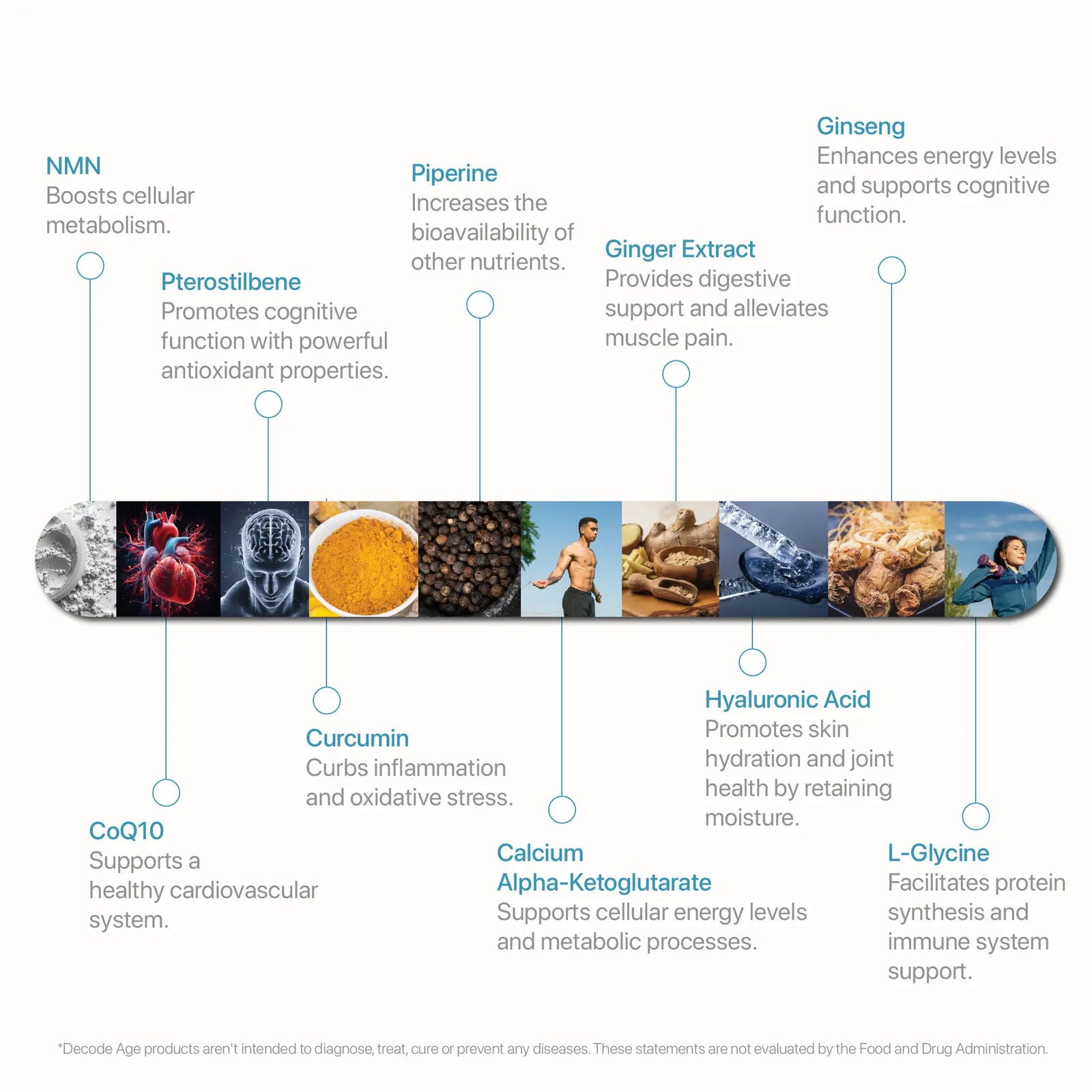 LongeVit⢠| DA¹ Foundational Longevity Blend - Decode Age