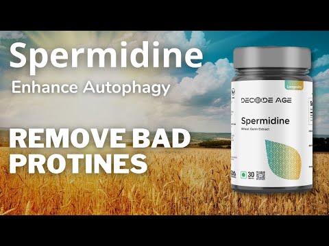 98% Spermidine Supplement 10mg 100x More Potent
