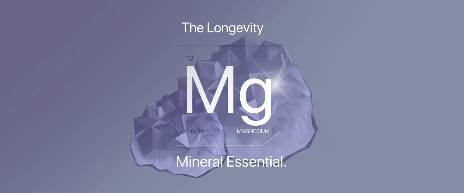  7 different forms of magnesium: bisglycinate, malate, amino acid chelate, oxide, orotate, taurate, and citrate