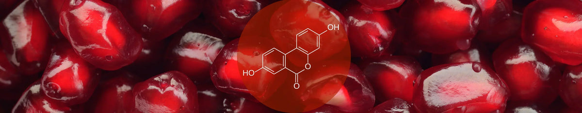 Benefits of Urolithin A