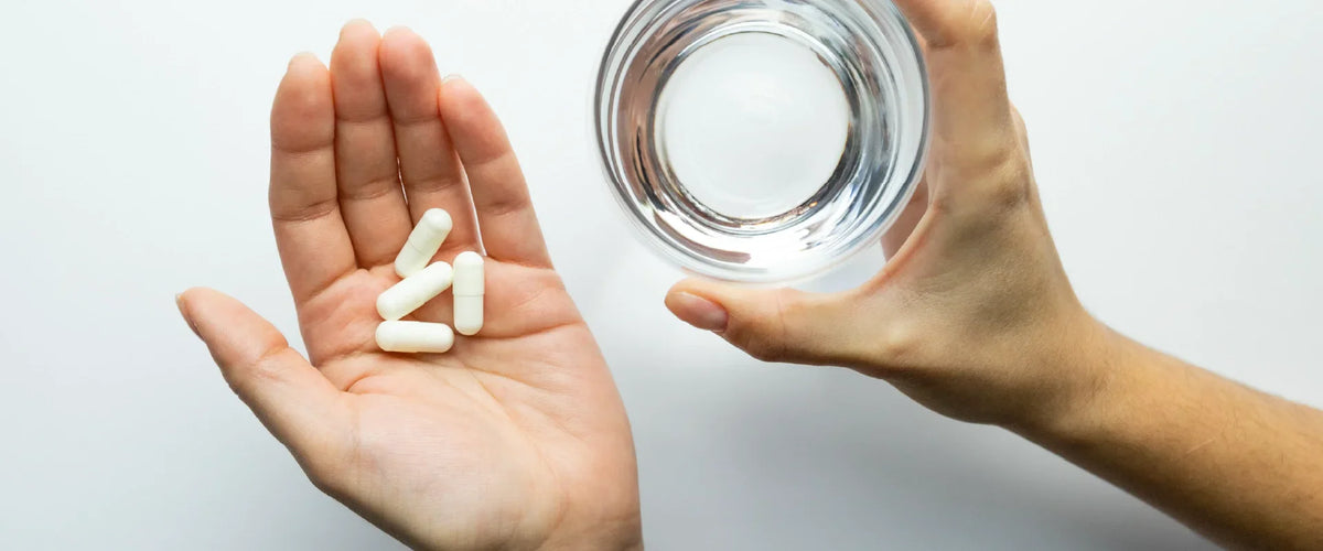 Best Bone & Muscle Health Supplements in India 2024    