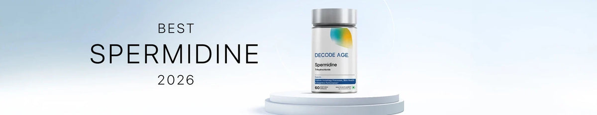 Best Spermidine supplement 2026