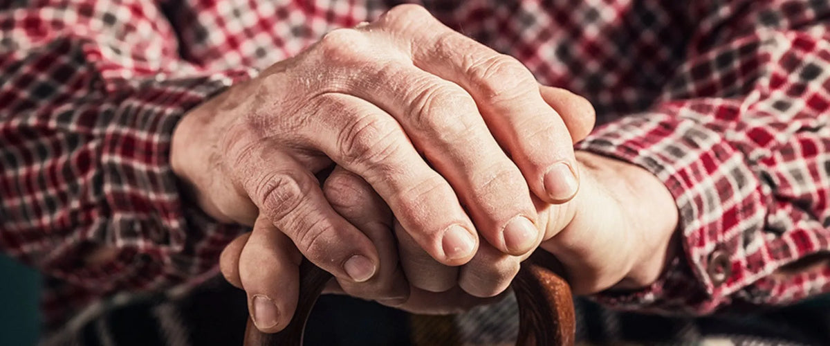 Biogerontology