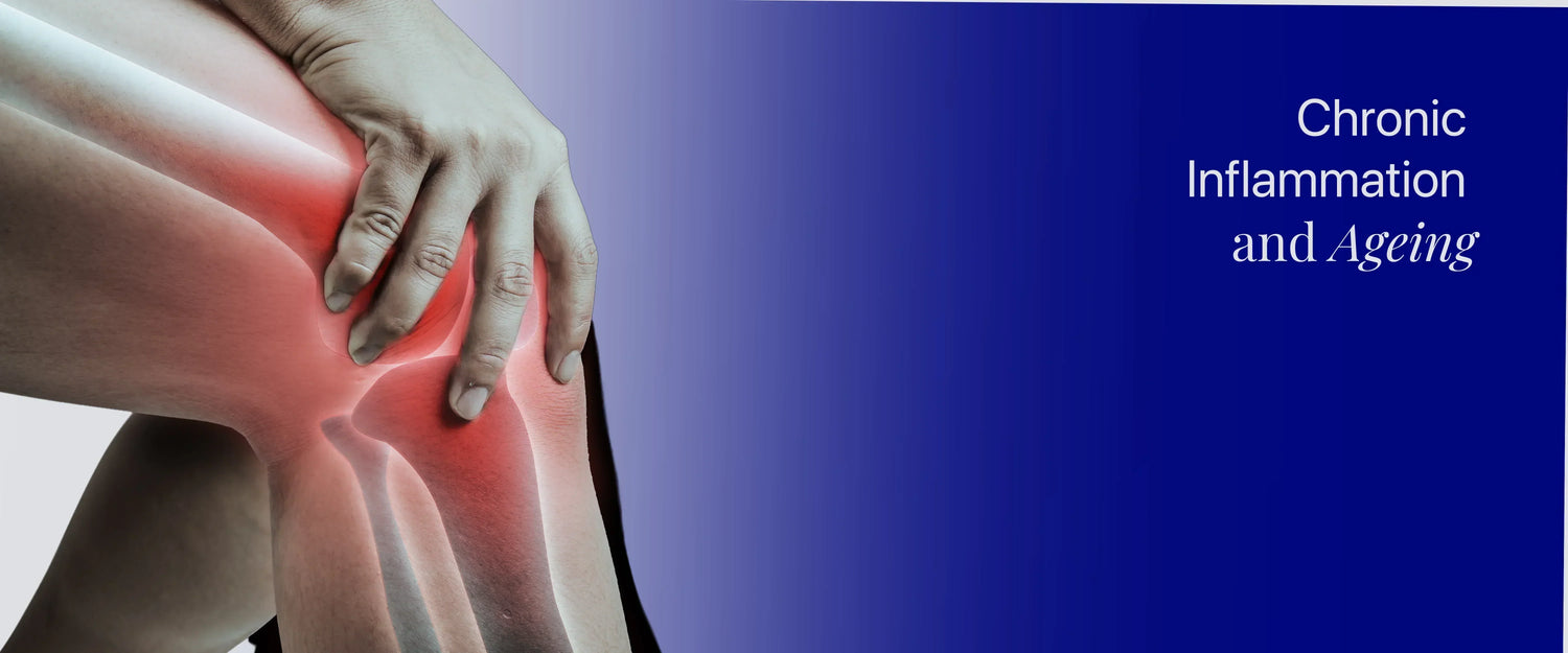 Chronic Inflammation Is It the Hidden Factor Accelerating Your Ageing