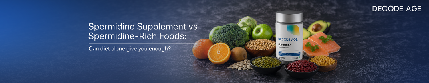 Compare spermidine supplements vs spermidine-rich foods for autophagy, cellular renewal, longevity, and healthy ageing support.