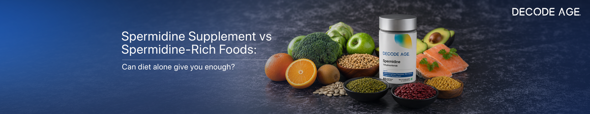 Compare spermidine supplements vs spermidine-rich foods for autophagy, cellular renewal, longevity, and healthy ageing support.