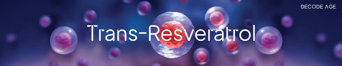 How Does Trans-Resveratrol Boost Stem Cells to Fight Ageing?