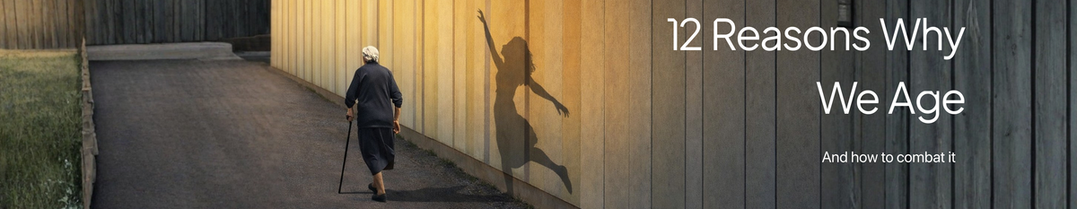 The 12 Hallmarks Of Ageing