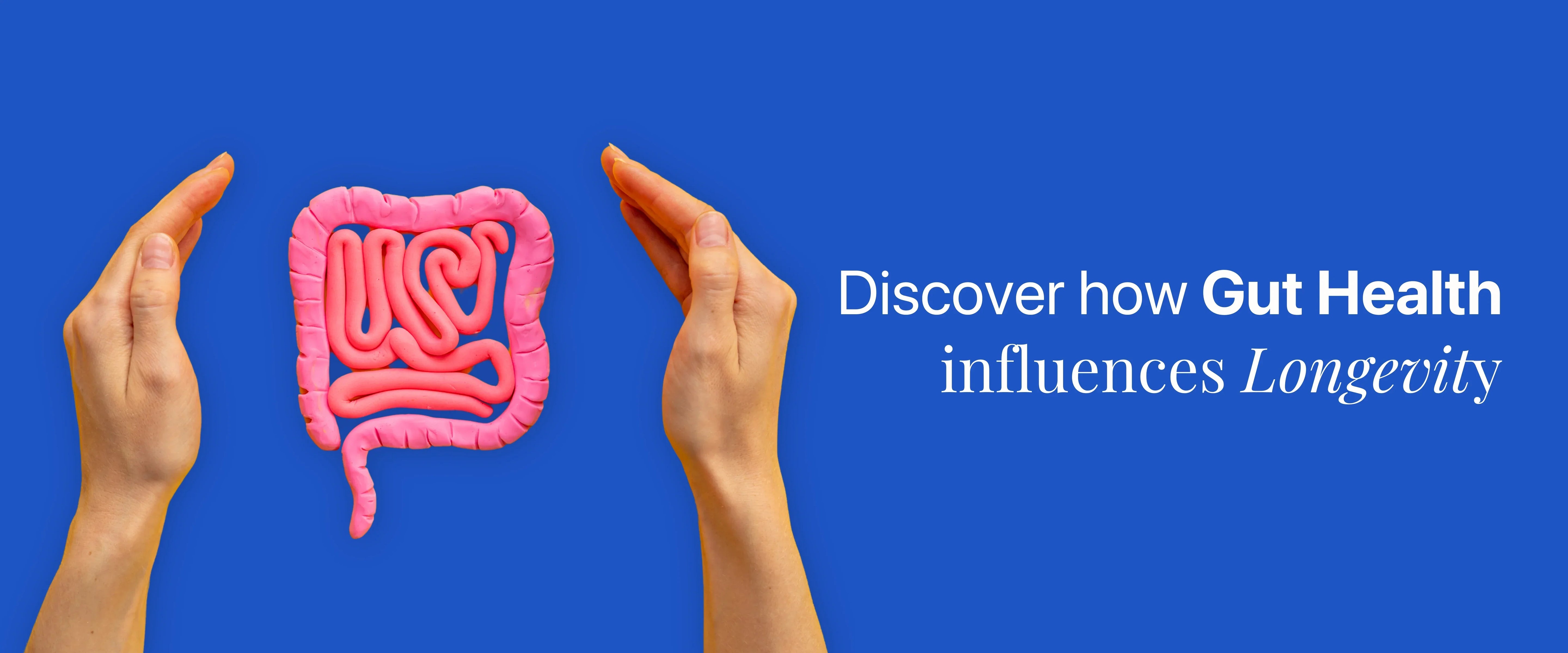 Discover The Role of Gut Health in The Science of Longevity