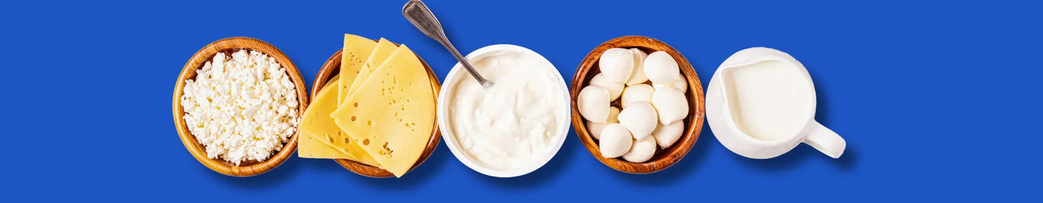 Fermented Foods, Ageing, Gut Health