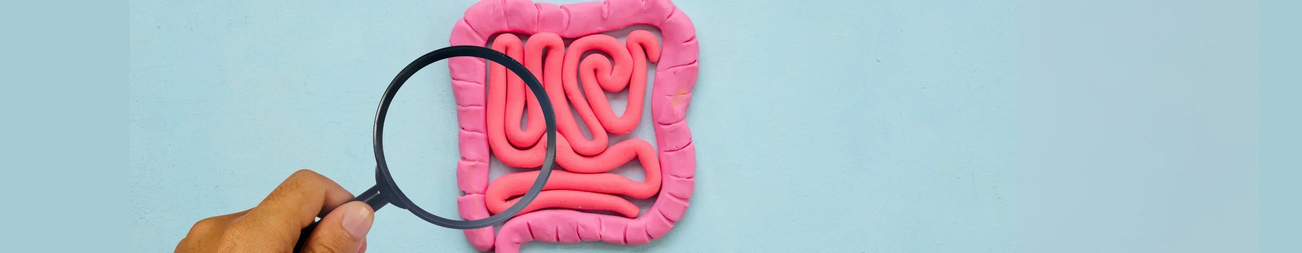 Gut health test
