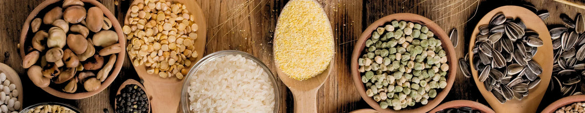 Benefits of high-fiber diet on gut health