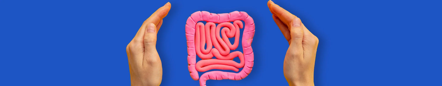 Role of gut in maintaining overall health and longevity