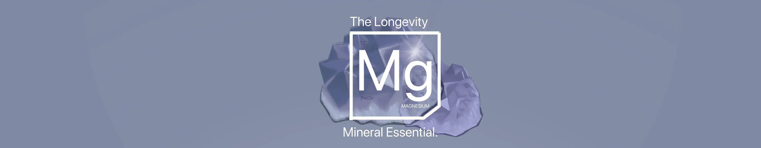 7 different forms of magnesium: bisglycinate, malate, amino acid chelate, oxide, orotate, taurate, and citrate