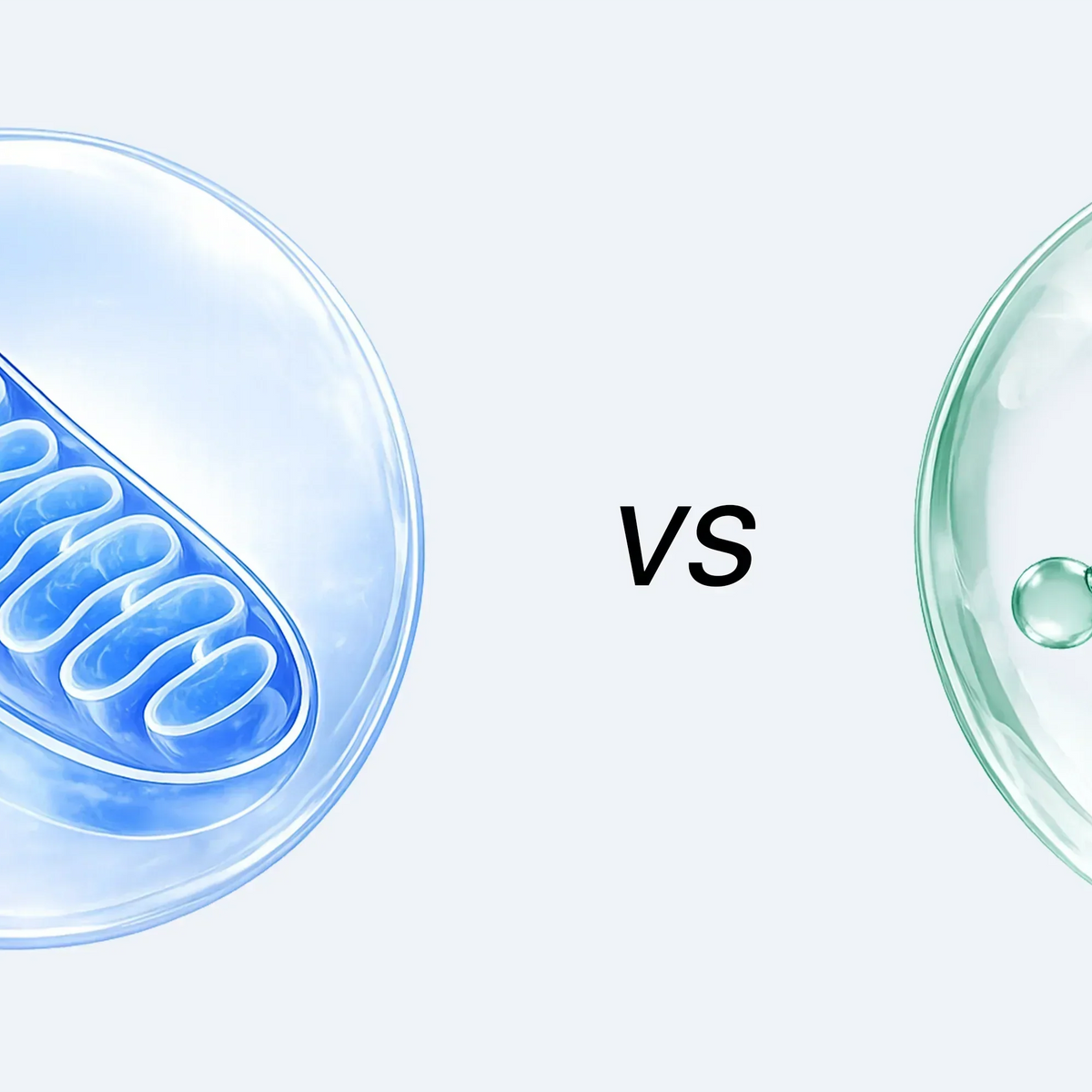 nmn vs glutathione NAD+ Booster vs Glutathione: Best Anti Ageing Supplement