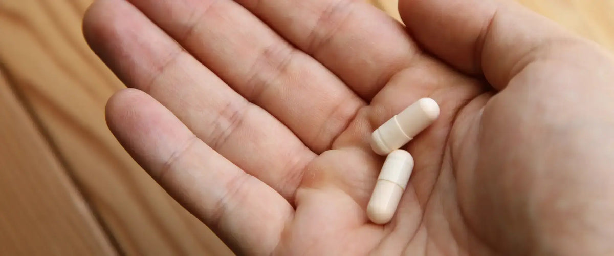 What Is The Difference Between NAD, NADh, And NAD+?