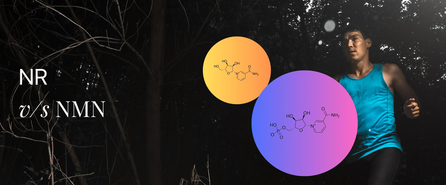 NR vs NMN, NAD+ Boosters, Benefits of NAD+ Boosters for energy DNA repair and longevity
