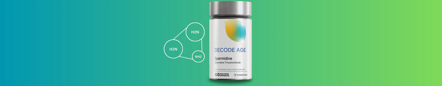 Polyamines, Immune ageing, Spermidine supplements