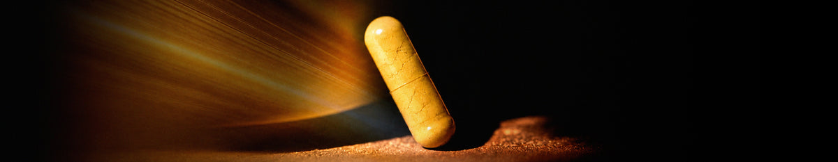 Ingredients of QuerceVit and How They Support Immune Health