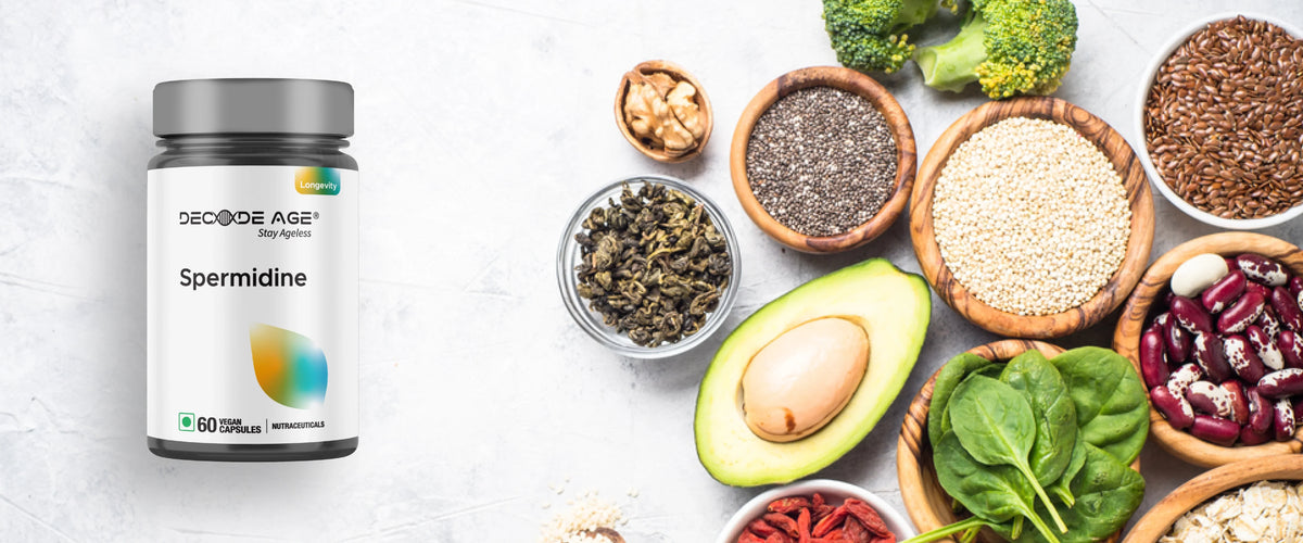 Exploring Spermidine: Types, Ideal Dosage, and Safety