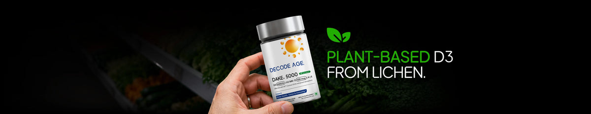 Best vegan vitamin d3 k2 supplement