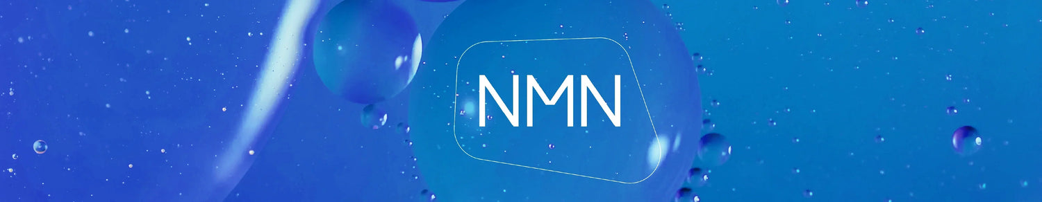 Best nmn supplement 2026