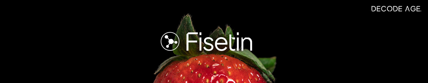 Fisetin: A Powerful Senolytic that Slows Aging