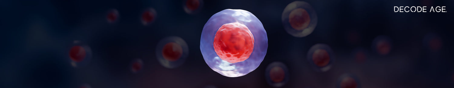 Do You Need To Take Best Longevity Supplements To Manage Inflammation 
