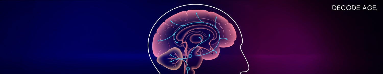 Brain Fog