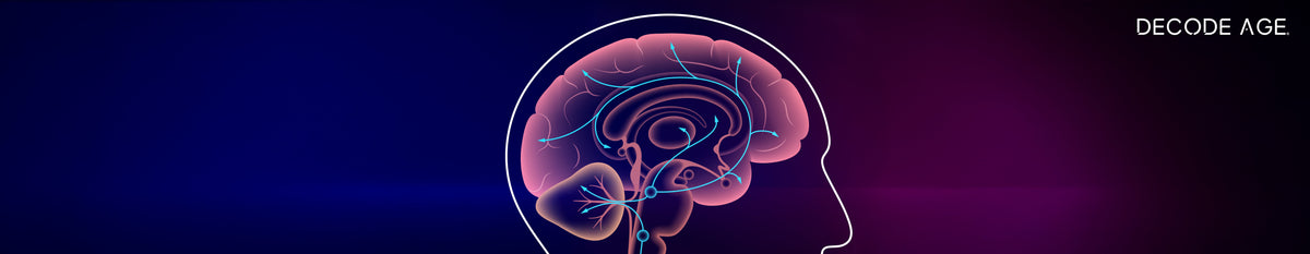 Brain Fog