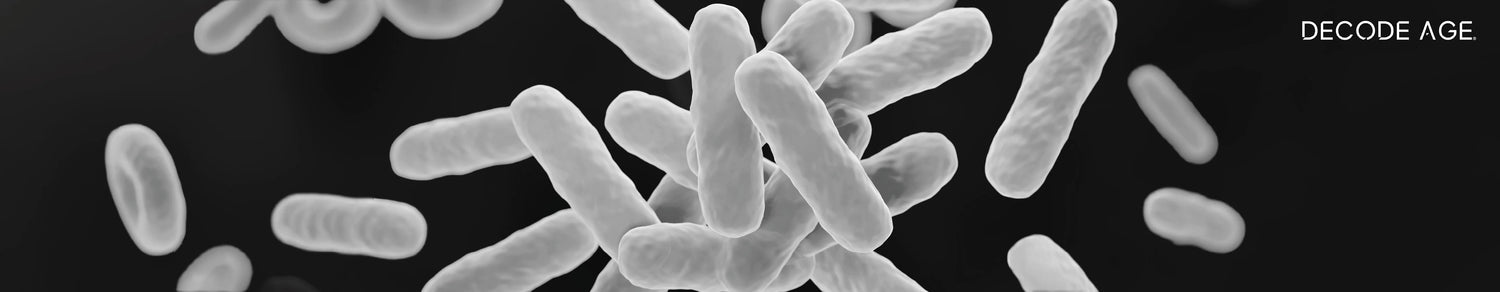 Gut microbiota: An essential modulator of nutrient metabolism