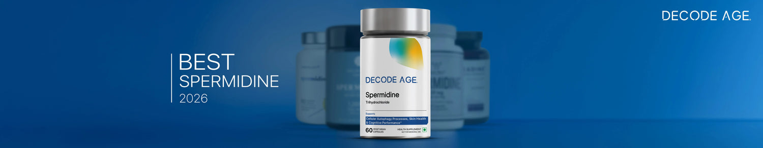 Best Spermidine Supplements in 2026