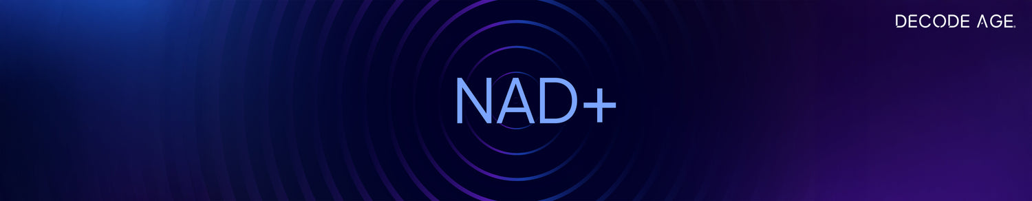 Why NAD+ Declines with Age and How to Boost It Naturally