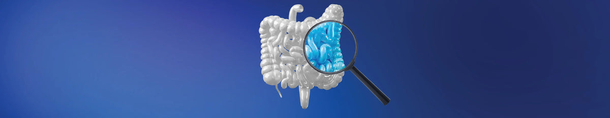 Diet to keep your gut microbiome healthy