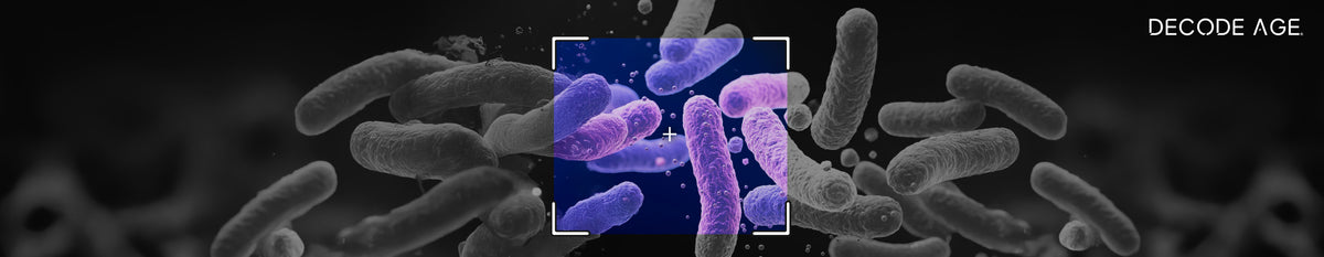 Role of gut microbiome in chronic diseases